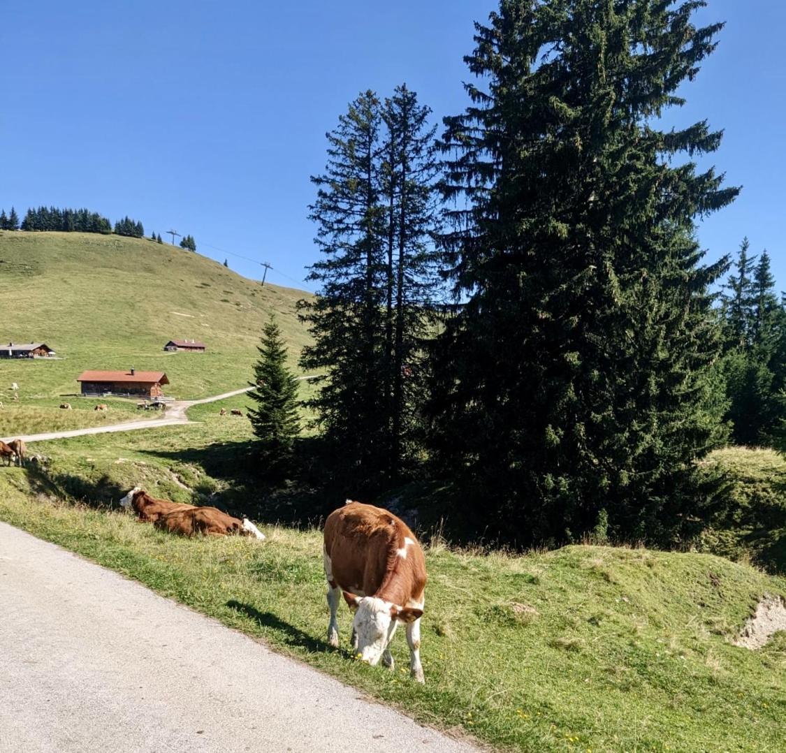Ferienwohnung Ferien Am Sonnberg Unken Exterior foto